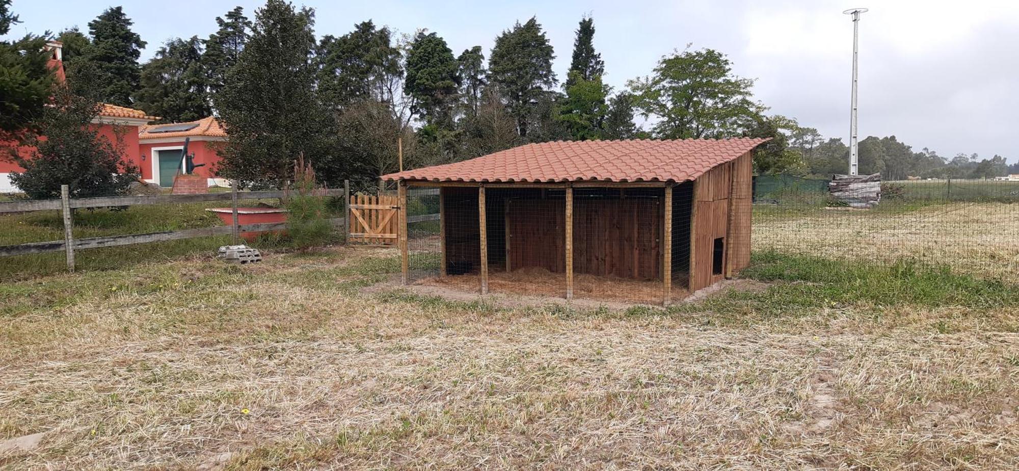 Casa Da Ria - Turismo Rural Ílhavo Εξωτερικό φωτογραφία