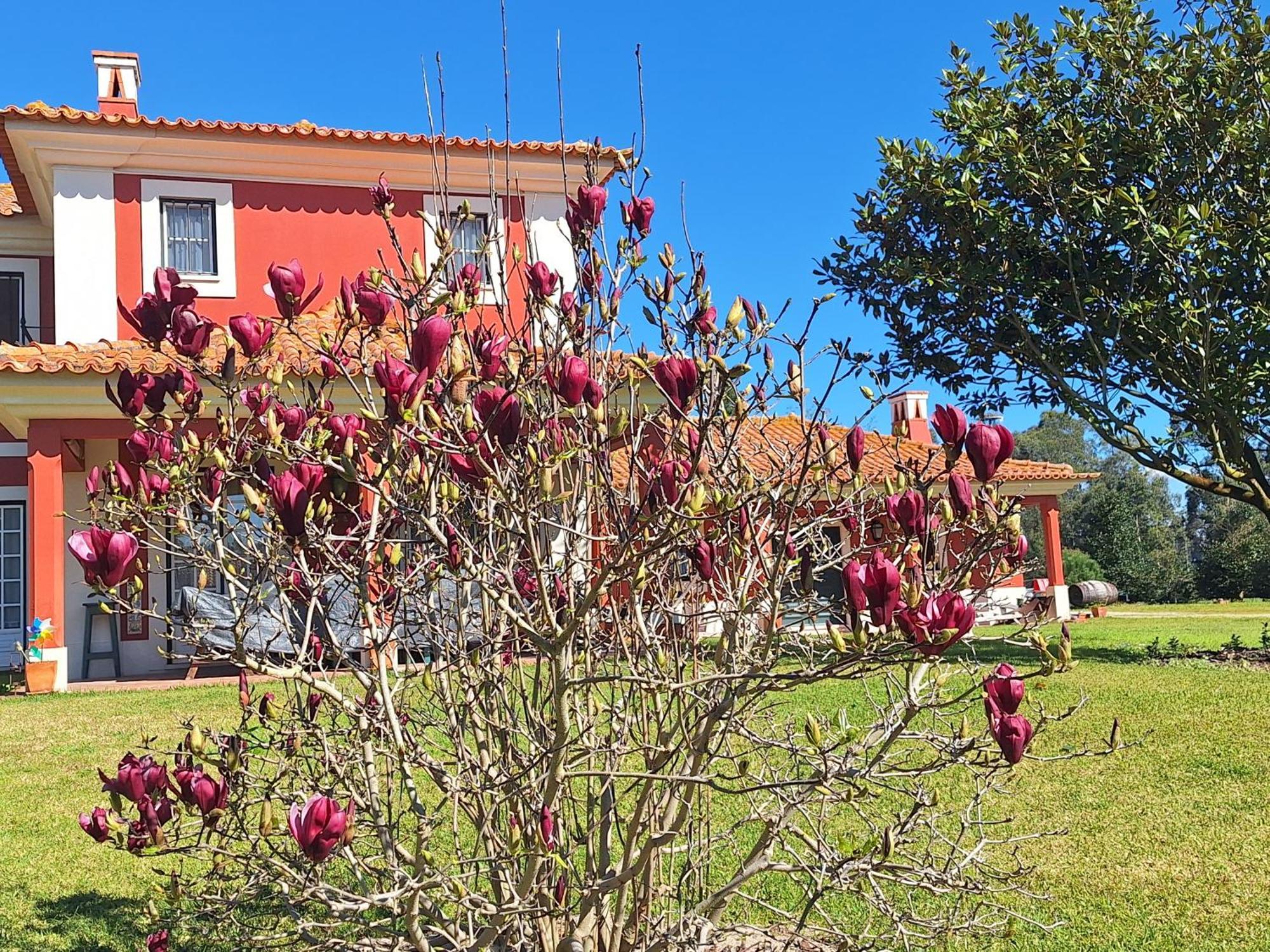 Casa Da Ria - Turismo Rural Ílhavo Εξωτερικό φωτογραφία