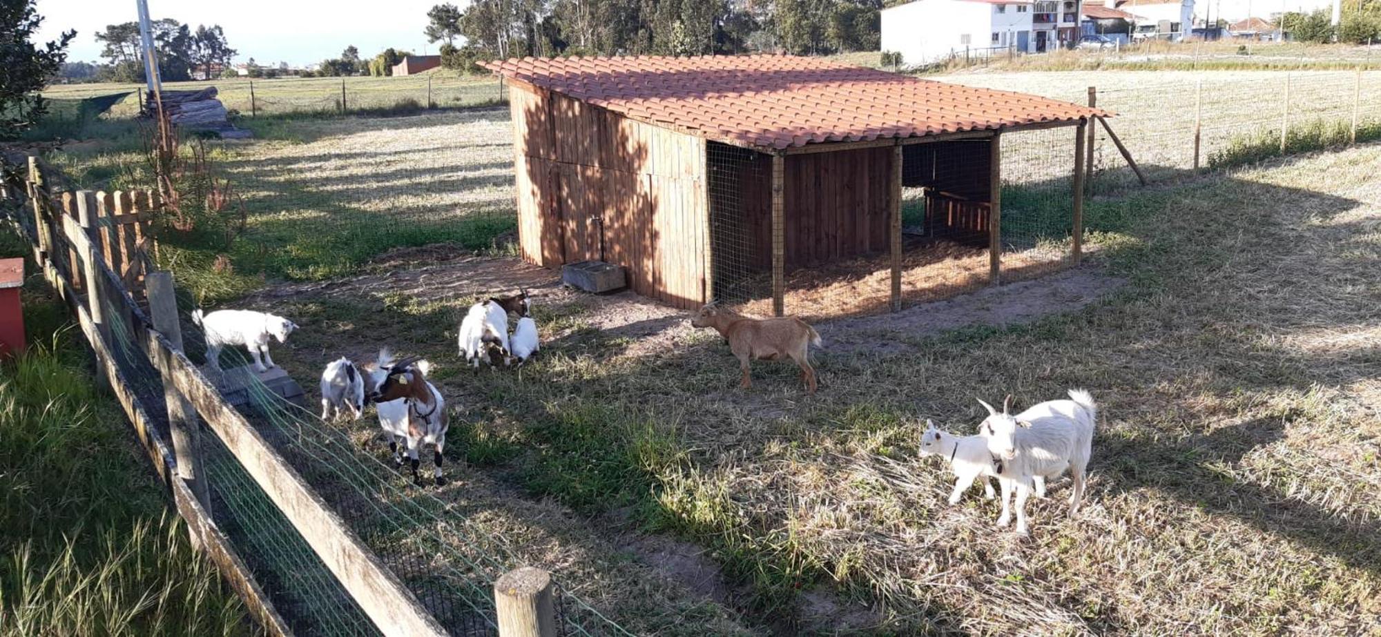 Casa Da Ria - Turismo Rural Ílhavo Εξωτερικό φωτογραφία